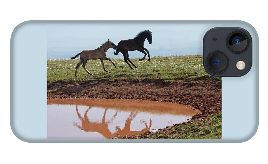 Wild Horse iPhone 13 Case featuring the photograph Fun in the Rockies- Wild Horse Foals by Mark Miller