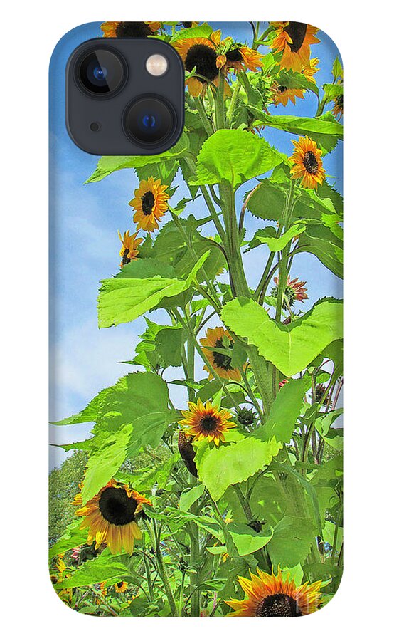 Flower iPhone 13 Case featuring the photograph Garden Splendor by Joyce Creswell