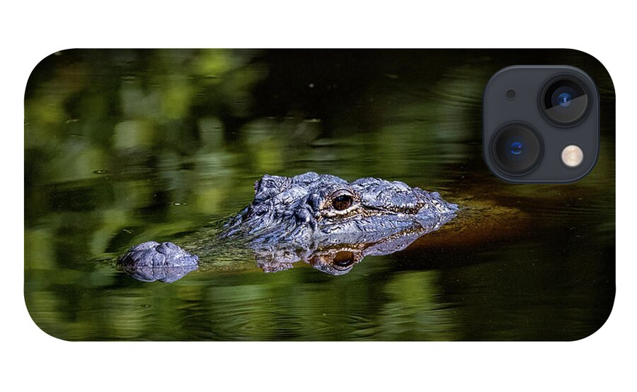 Alligator iPhone 13 Case featuring the photograph Gator Pond by JASawyer Imaging