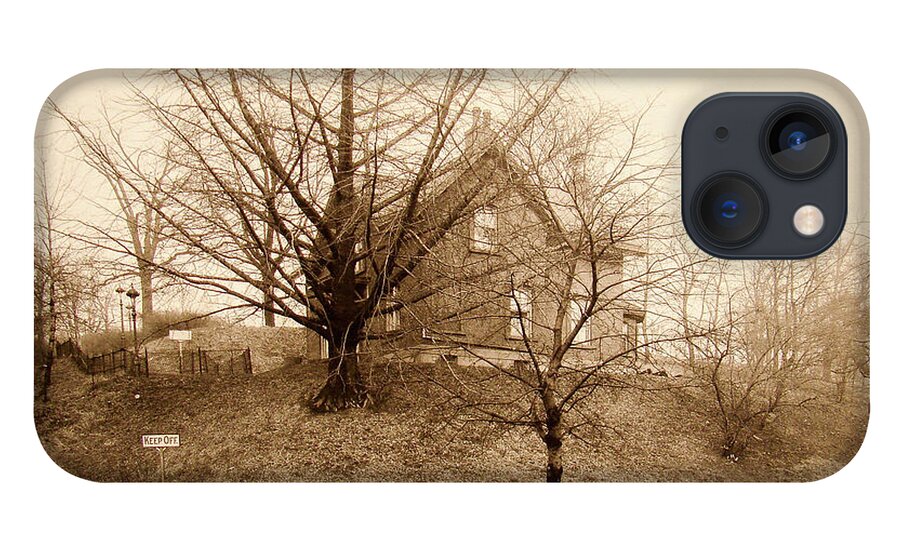 1925 iPhone 13 Case featuring the photograph Ginkgo Tree, 1925 by Cole Thompson