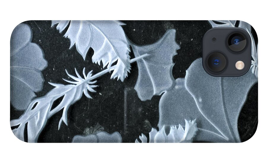 Black iPhone 13 Case featuring the photograph Ginko Leaves and Feathers by Alone Larsen
