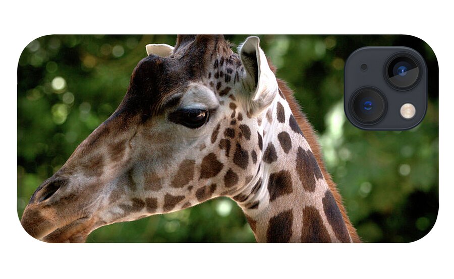 Tall iPhone 13 Case featuring the photograph Giraffe Portrait by Baggieoldboy