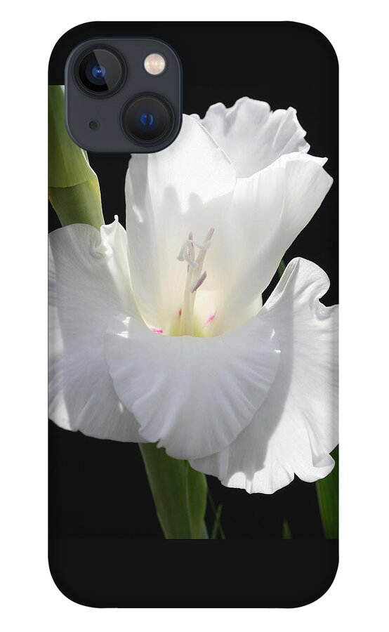 Gladiolus iPhone 13 Case featuring the photograph Gladiolus Chef by Tammy Pool