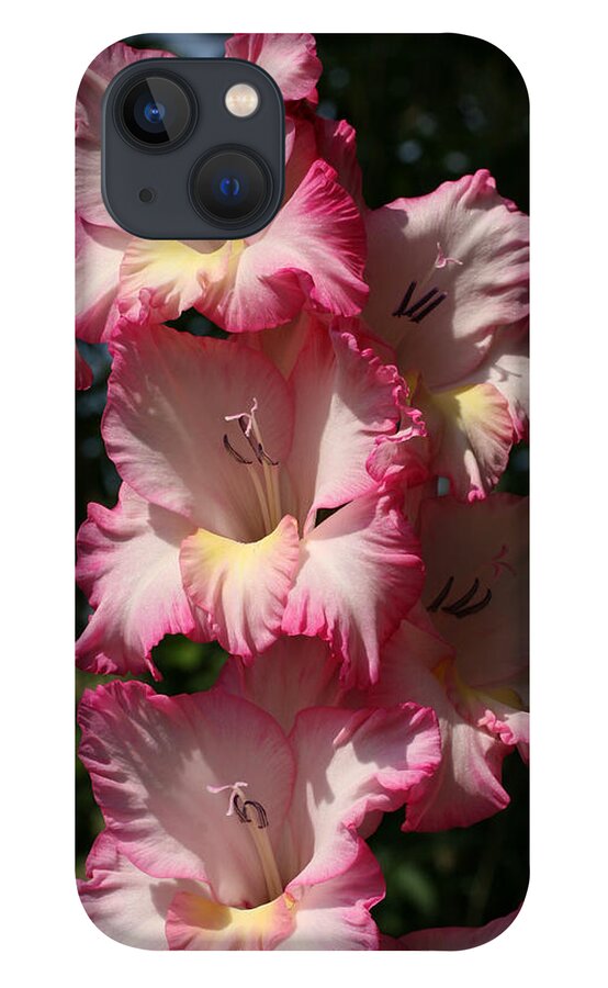 Gladiolus iPhone 13 Case featuring the photograph Gladiolus Parfait by Tammy Pool