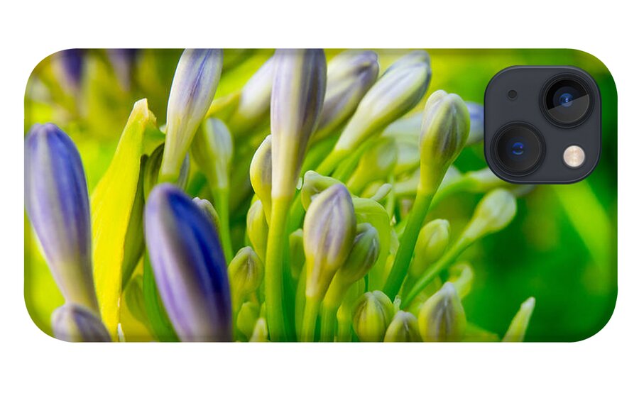 Flowers iPhone 13 Case featuring the photograph Go Forth by Derek Dean