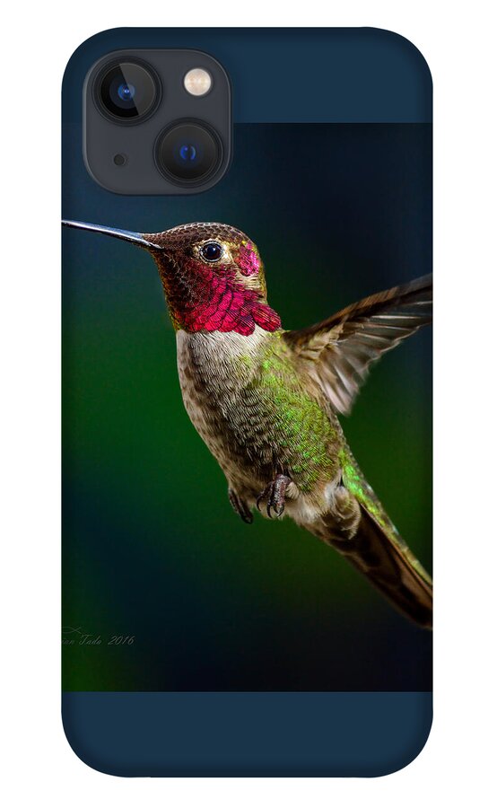 Bird iPhone 13 Case featuring the photograph Good Friday Visitor by Brian Tada