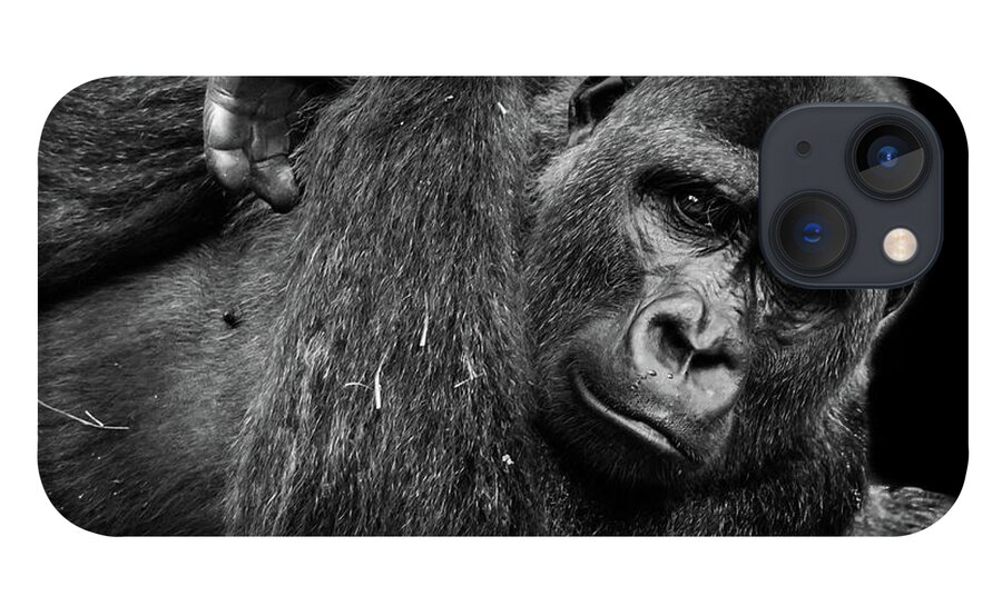 Gorilla iPhone 13 Case featuring the photograph Gorilla by Jaime Mercado