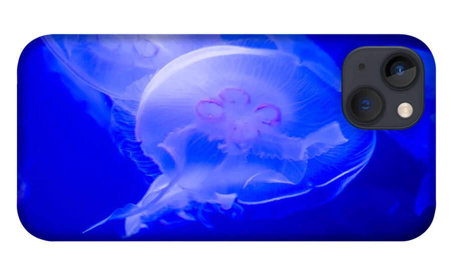 Jellyfish iPhone 13 Case featuring the photograph Graceful by Frank Mari