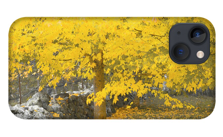 Fall. Maine iPhone 13 Case featuring the photograph Gravitational Inevitability by Jeff Cooper