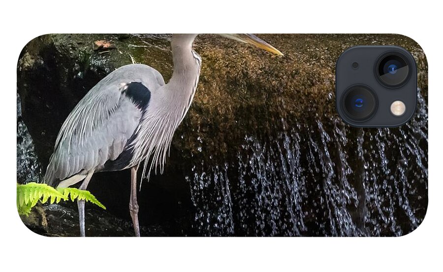 Nature iPhone 13 Case featuring the photograph Great Blue Heron by Ed Clark