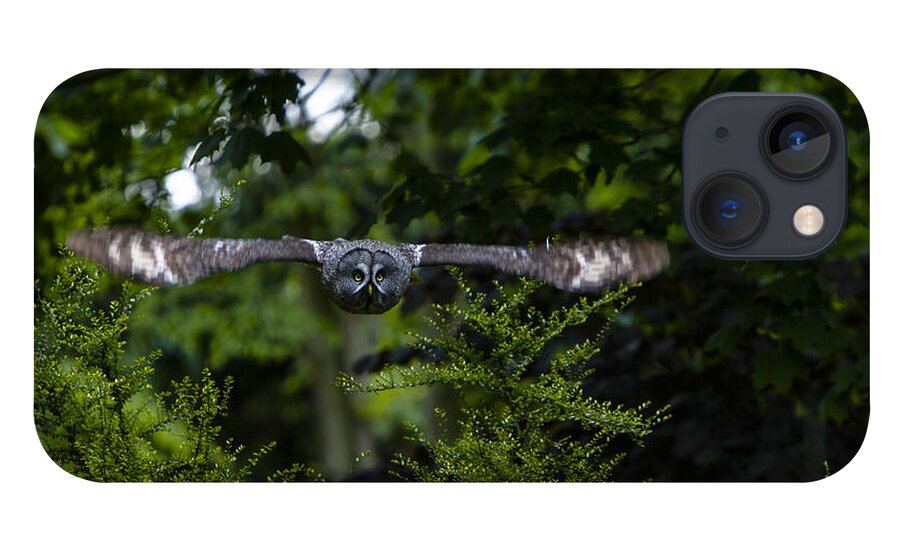 Great Grey Owl iPhone 13 Case featuring the photograph Great Grey Owl in Flight by Andy Myatt