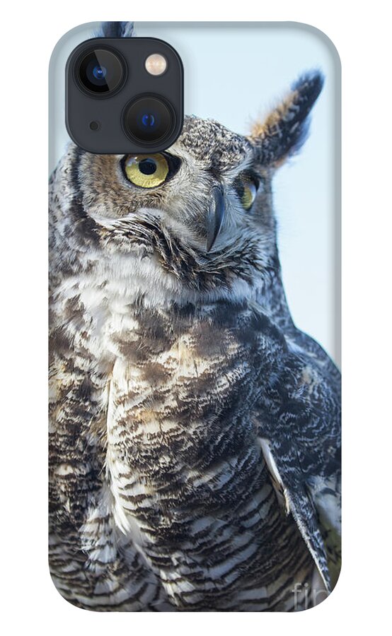 Great Horned Owl iPhone 13 Case featuring the photograph Great Horned Owl 1 by Chris Scroggins