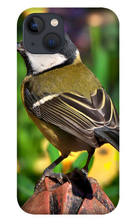 Great Tit iPhone 13 Case featuring the photograph Great Tit British Bird parus major by Martyn Arnold