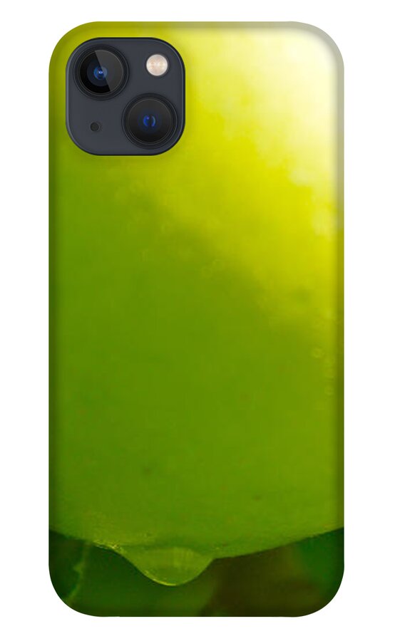 Food iPhone 13 Case featuring the photograph Green Apple by Jason Freedman