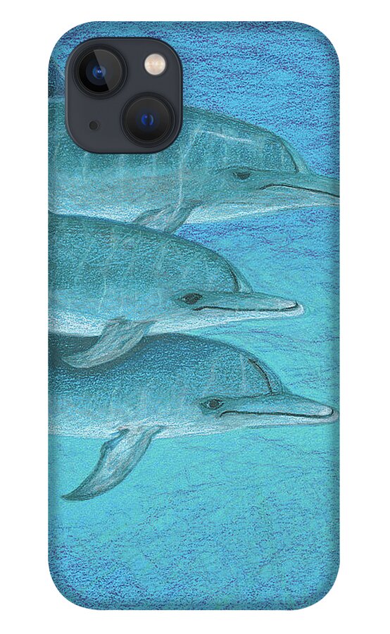 Dolphins iPhone 13 Case featuring the drawing Greetings by Anne Katzeff