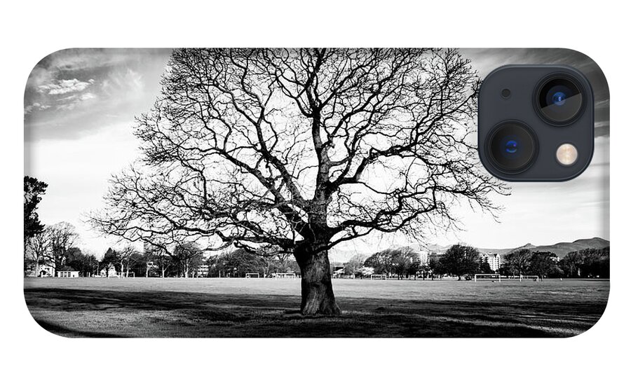 Tree iPhone 13 Case featuring the photograph Hagley Tree Landscape by Roseanne Jones