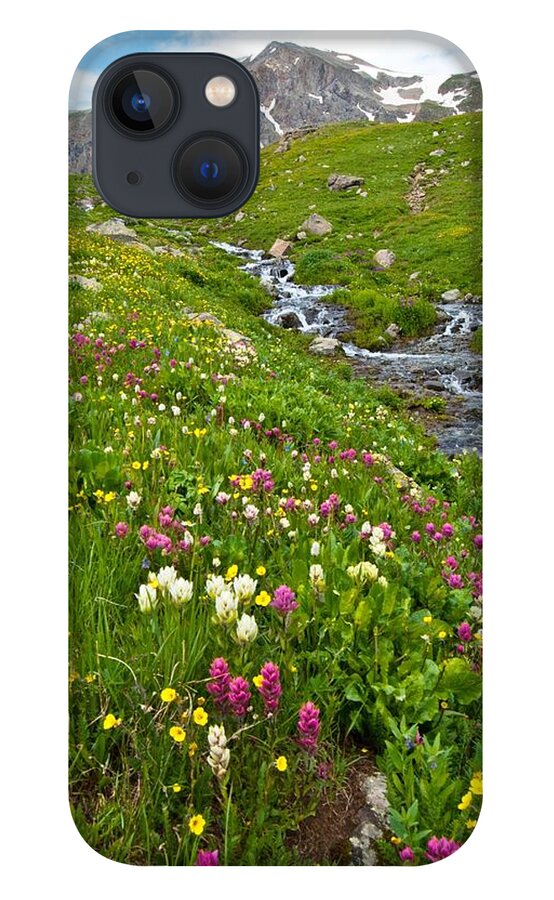 Handie's Peak iPhone 13 Case featuring the photograph Handie's Peak and Alpine Meadow by Cascade Colors