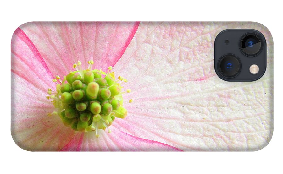 Flower iPhone 13 Case featuring the photograph October Is Squish The Girls Month by Lori Lafargue