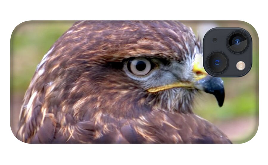 Bird iPhone 13 Case featuring the photograph Hawks eye view by Stephen Melia