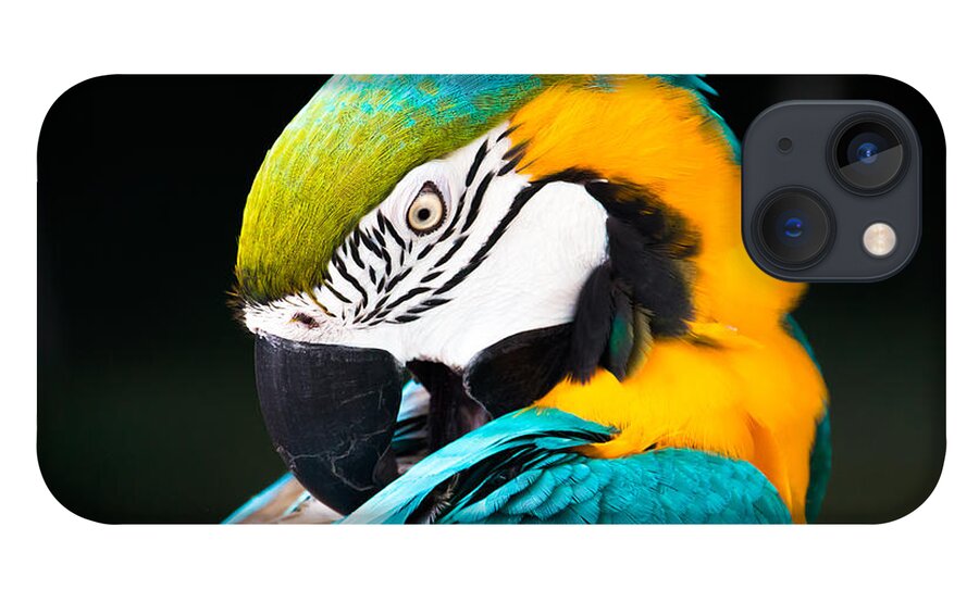 Animal iPhone 13 Case featuring the photograph Head of parrot by Amanda Mohler