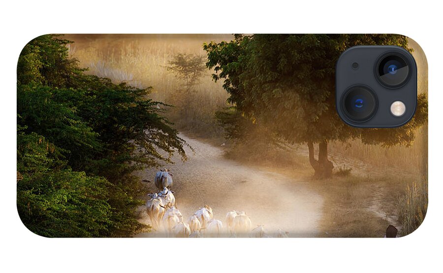 Landscape iPhone 13 Case featuring the photograph herd and farmer going home in the evening, Bagan Myanmar by Pradeep Raja Prints