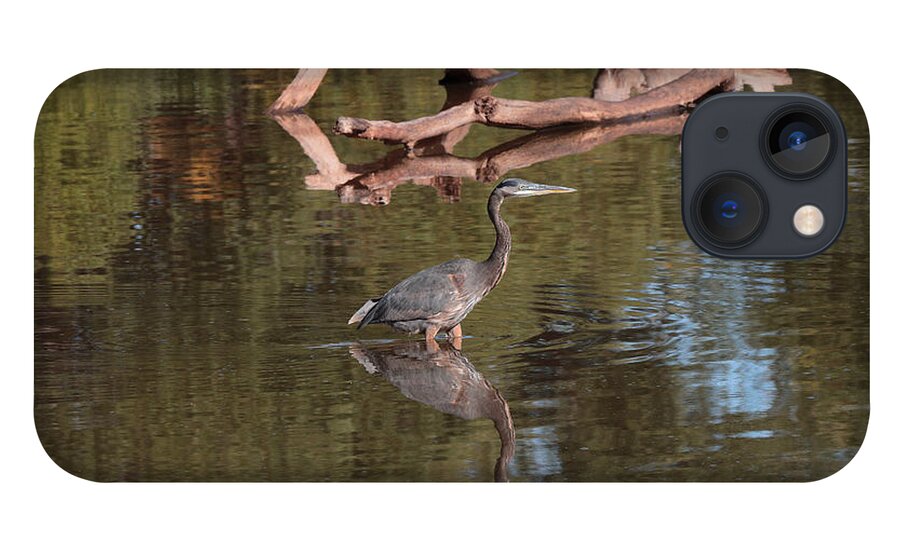 Heron iPhone 13 Case featuring the photograph Heron Reflection by John Moyer