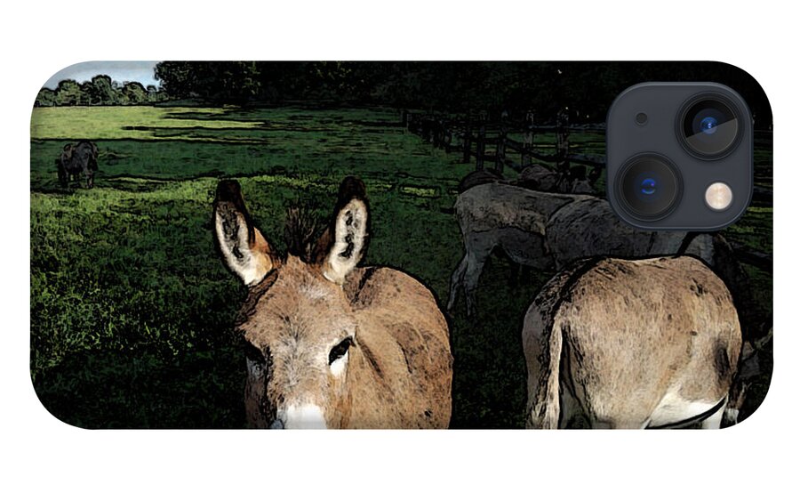 Donkeys iPhone 13 Case featuring the photograph Hey There by Susan Esbensen