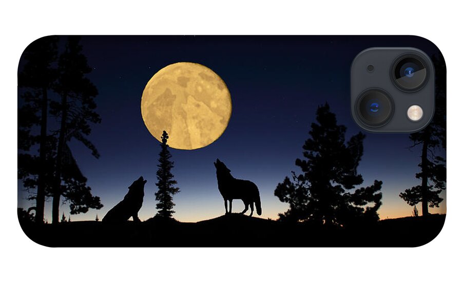 Carnivore iPhone 13 Case featuring the photograph Hidden Wolves by Shane Bechler