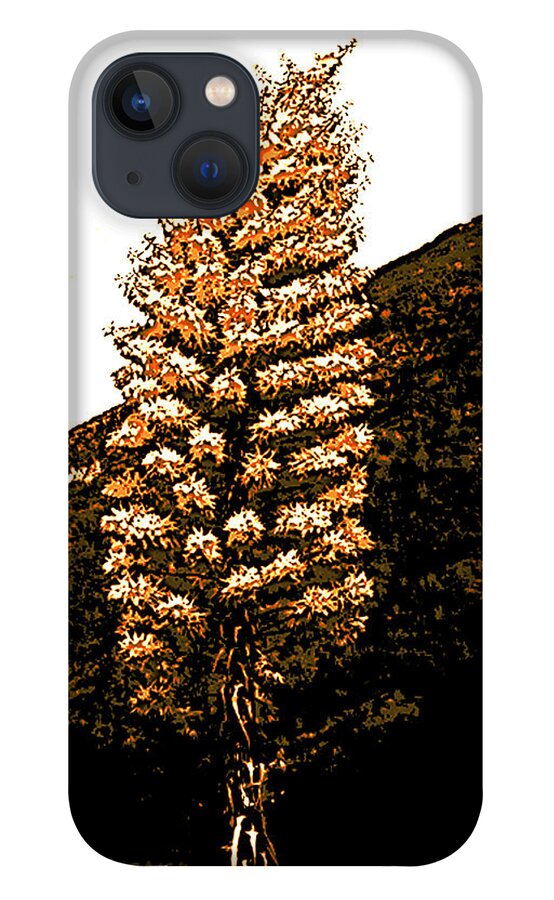 Yucca iPhone 13 Case featuring the photograph Hillside Yucca by Pat Wagner