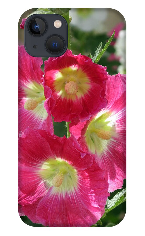 Holly Hocks iPhone 13 Case featuring the photograph HollyHock Bells by Feather Redfox