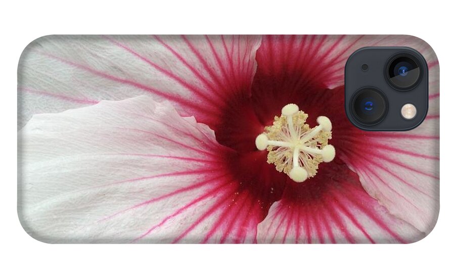 Flowers iPhone 13 Case featuring the photograph Holy Hibiscus by Anjel B Hartwell