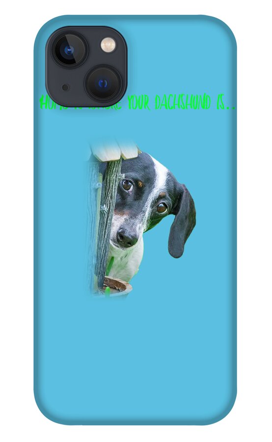 Dachshund iPhone 13 Case featuring the photograph Home Is Where Your Dachshund Is by Mark Andrew Thomas