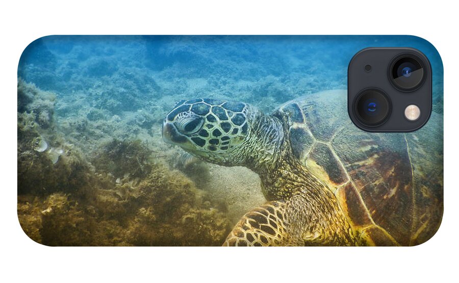 Turtle iPhone 13 Case featuring the photograph Honu Cruisin Hawaiian Sea Turtle Photobomb Selfie by Lawrence Knutsson