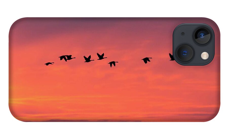 Birds iPhone 13 Case featuring the photograph Horicon Marsh Geese by Paul Schultz