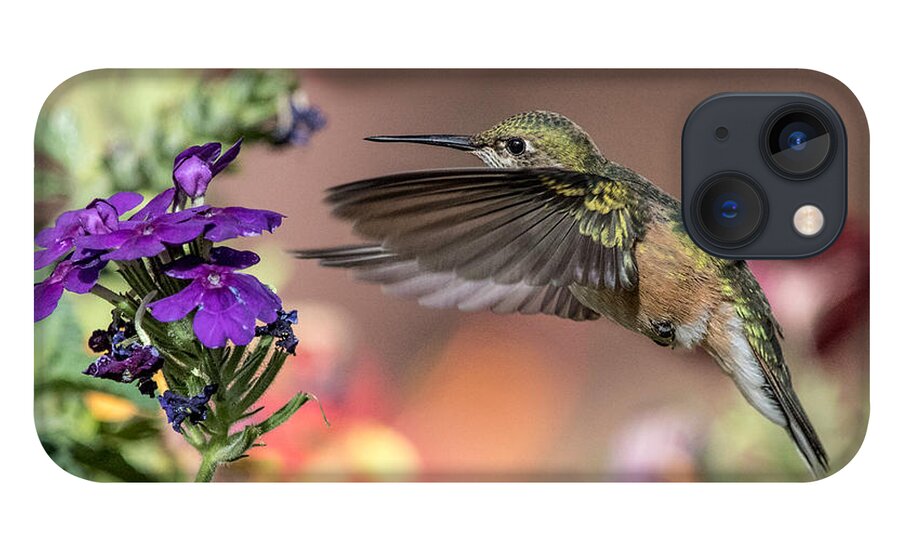 Animals iPhone 13 Case featuring the photograph Hummingbird and Purple Flower by Dawn Key