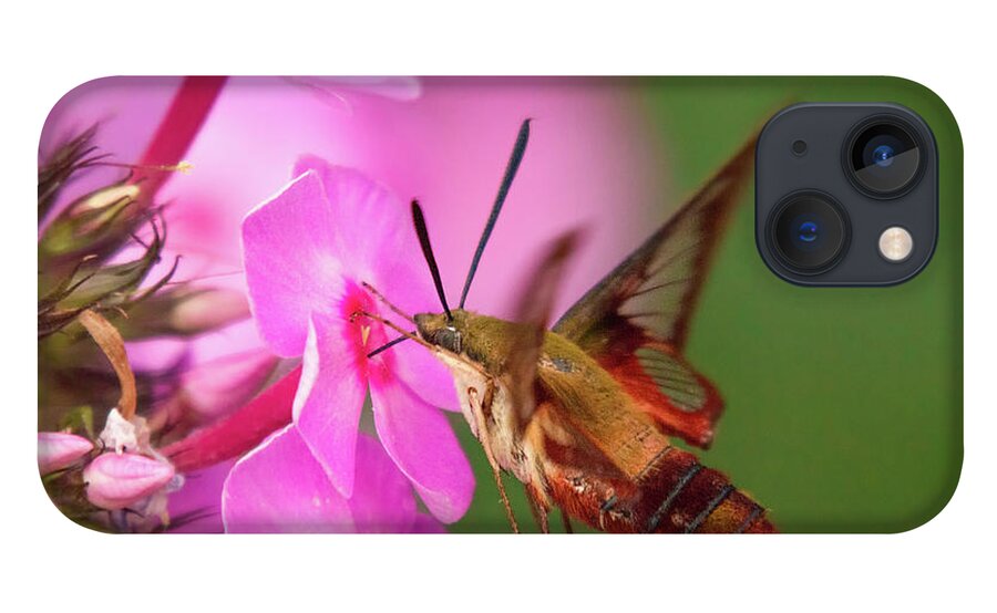 Humming Bird Moth Hummingbird Hummingbirdmoth Moths Flower Flowers Feeding Nectar Macro Closeup Close Up High Speed High-speed Insect Brian Hale Brianhalephoto Nature Natural Outside Outdoors Ma Mass Massachusetts Flowers Botony iPhone 13 Case featuring the photograph Hummingbird Moth Feeding 1 by Brian Hale