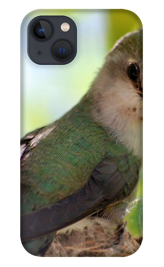 Hummingbird iPhone 13 Case featuring the photograph Hummingbird with small nest by Amy Fose