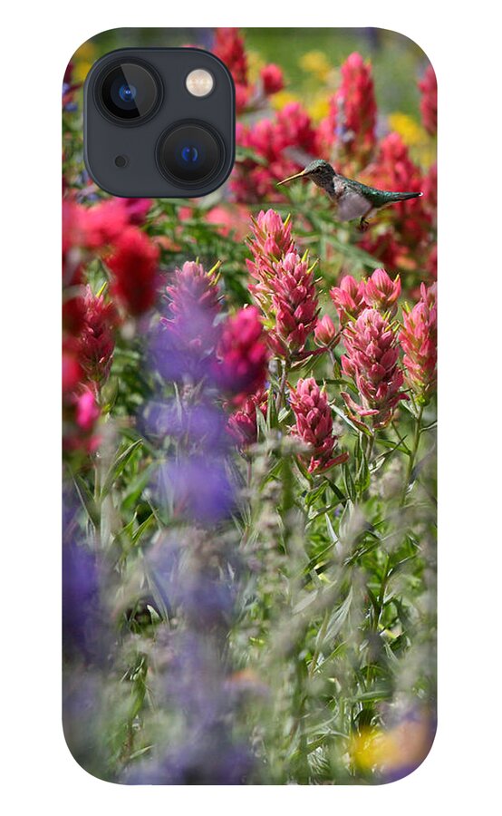 Wildflower iPhone 13 Case featuring the photograph Hummingbird with Wildflowers by Brett Pelletier