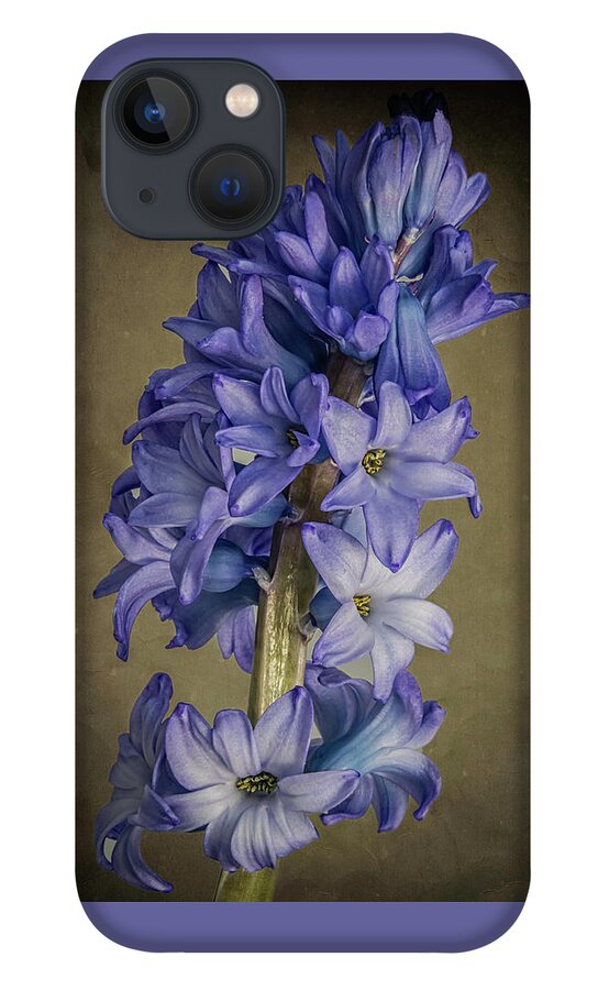 Flowers iPhone 13 Case featuring the photograph Hyacinth by John Roach