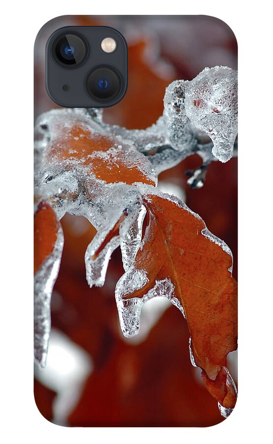 Ice iPhone 13 Case featuring the photograph Iced Leaves-2 by Steve Somerville