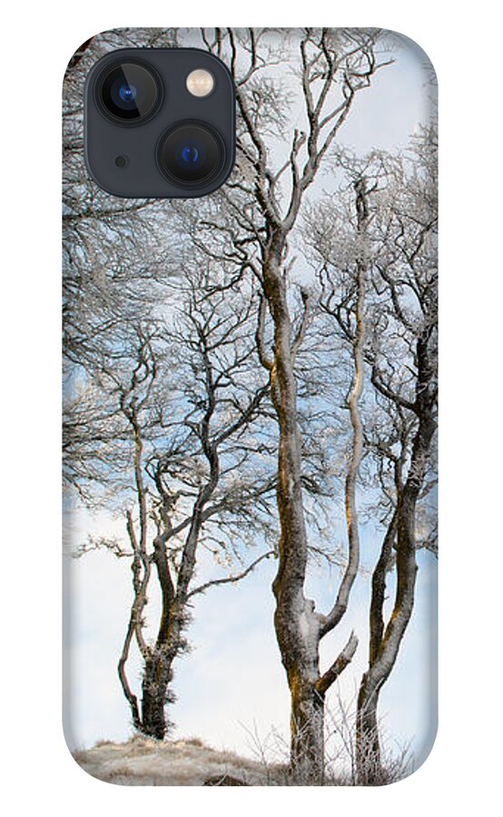 Snow iPhone 13 Case featuring the photograph Icy Trees by Helen Jackson