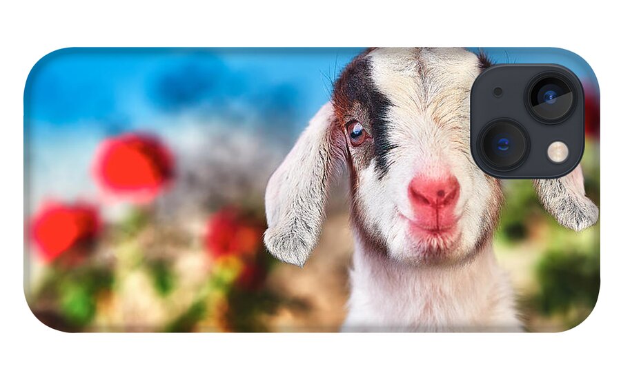 Baby Goat iPhone 13 Case featuring the photograph I'm in the Rose Garden by TC Morgan