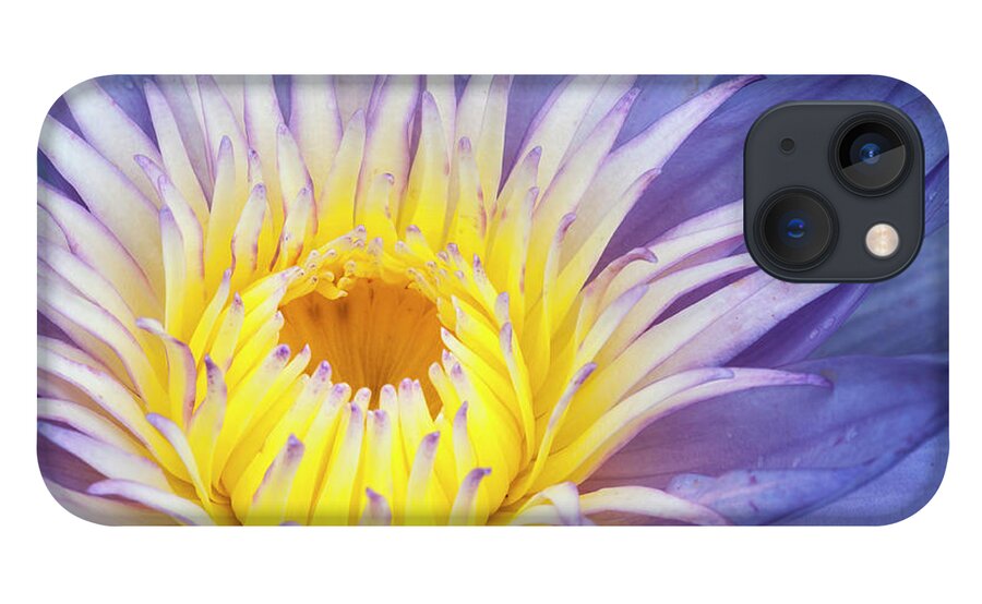 Waterlily iPhone 13 Case featuring the photograph Perfect symmetry of a blossom by Usha Peddamatham