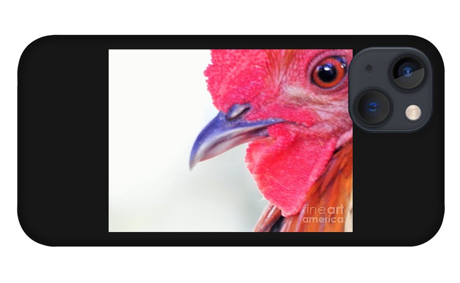 Rooster iPhone 13 Case featuring the photograph Instinctive Survival by Jan Gelders