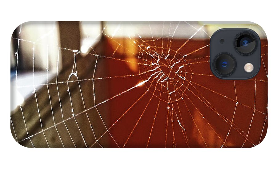 Spider iPhone 13 Case featuring the photograph Intact Abandonment by Robert Knight