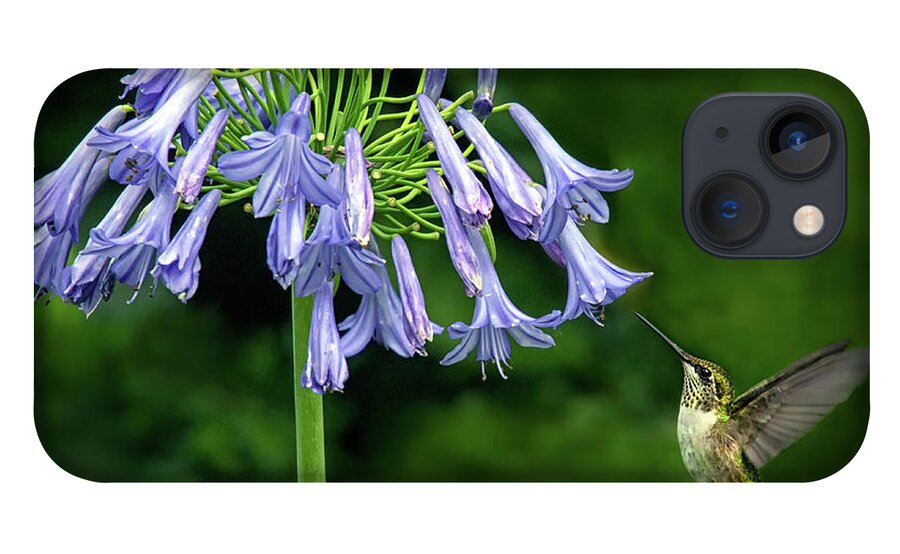 Hummingbird iPhone 13 Case featuring the photograph Into The Blues by Art Cole