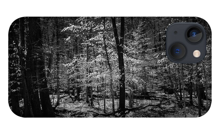 Bnw iPhone 13 Case featuring the photograph Into the woods by Izet Kapetanovic