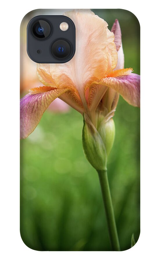  iPhone 13 Case featuring the photograph Iris #2 by John Strong