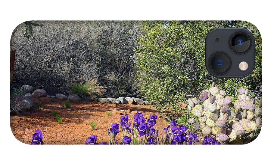 Sedona iPhone 13 Case featuring the photograph Iris and Cactus Sedona Spring by Mars Besso