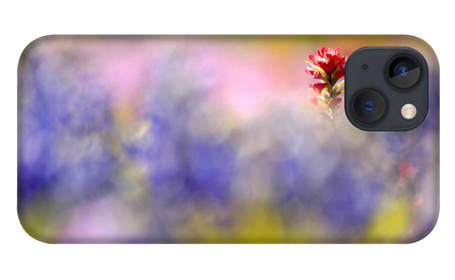 Paintbrush iPhone 13 Case featuring the photograph Isolated Paintbrush by Ted Keller
